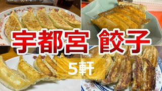 【宇都宮グルメ】美味しい餃子をめぐり5店舗を食べ歩きました [upl. by Eaned]