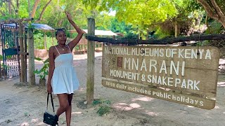 Things To Do In Kilifi  Mnarani Monument And Snake Park [upl. by Anayi]