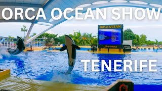 Full Spectacular Orca Ocean Show At Loro Parque 4K  Tenerife [upl. by Ralph802]