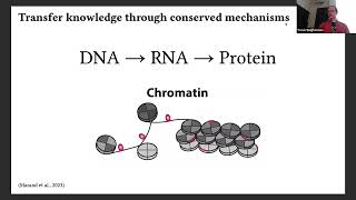 Travis Wrightsman  From Arabidopsis to Zea Learning conserved cis mechanisms of gene regulation [upl. by Ezechiel]