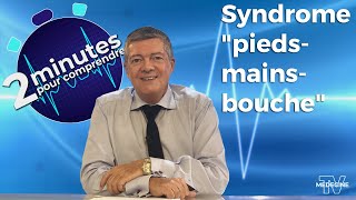 Syndrome quotpiedsmainsbouchequot  2 minutes pour comprendre [upl. by Ratna]