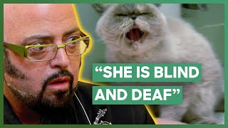 Jackson Galaxy Helps A Blind Deaf And Aggressive Cat  My Cat From Hell [upl. by Gipson38]