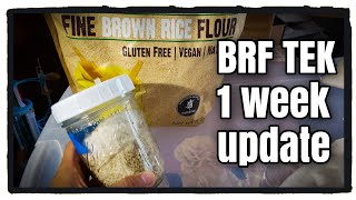 Instant Pot BRF Tek for Growing Mushrooms [upl. by Bollinger724]