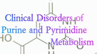 Clinical Disorders of Purine and Pyrimidine Metabolism Biochemistry [upl. by Ayotaj]