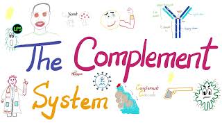 The Complement System  The most COMPREHENSIVE Explanation [upl. by Nina237]