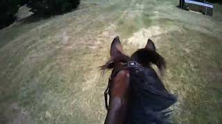 HELMET CAMERA  FEI 3 S McLeans Island NZL Cam Robertson riding POGO [upl. by Assirroc]