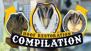 FARRIER ASMR  Horse Hoof Cleaning COMPILATION SATISFYING [upl. by Attekahs475]