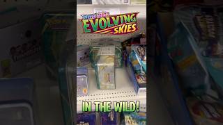 Evolving Skies in the WILD pokemon pokemonfan pokemontcg pokemoncommunity evolvingskies [upl. by Eem]