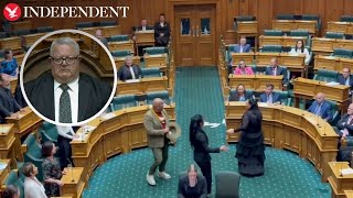 MPs break into protest haka to disrupt New Zealand parliament [upl. by Armillia]