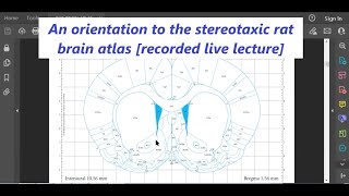 The Rat Brain Atlas  An Orientation recorded live lecture [upl. by Nyral770]