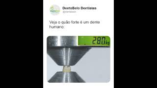 O quão forte é o dente humano  DenteBelo [upl. by Bernj611]