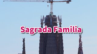 Sagrada Familia 21 enero 2024 [upl. by Ailerua]