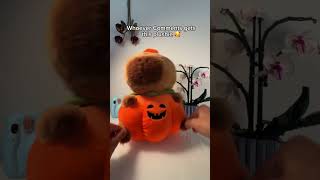 Store CapyPlushStore  Limited edition Capybara 🎃capybara capybaraworld halloween [upl. by Chiang]