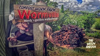 From Scraps to Soil Gold Unlocking the Secrets of a Compost Worm Farm  Worm Farming For Compost [upl. by Zosema723]