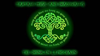 Celtic Rock  The Drunken Leprechaun  Dracovallis and Tartalo Music  Celtic metal  folk metal [upl. by Elata]