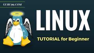 Linux Tutorial for Beginners Introduction to Linux Operating System [upl. by Walrath813]