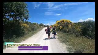 Trekking Passignano sul Trasimeno  Poggio Belveduto Parte 20 [upl. by Airdnahc626]