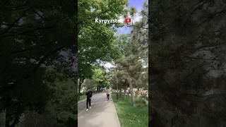 Fully green sidewalks in Bishkek Kyrgyzstan 🇰🇬 [upl. by Wilen]