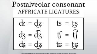 Postalveolar consonant [upl. by Iak]