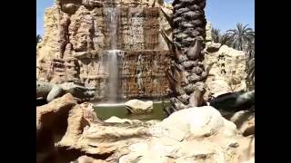 Tozeur Oasis  واحة مدينة توزر [upl. by Olsson]