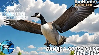 Hirschfelden Canada Goose Guide  TheHunter Call Of The Wild 2425 [upl. by Crim]