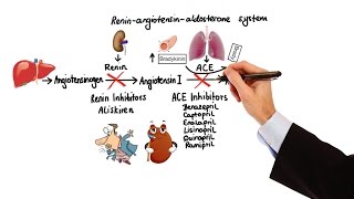 Pharmacology  HYPERTENSION amp ANTIHYPERTENSIVES MADE EASY [upl. by Etnaled]