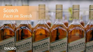 Explore Scotch Whisky and how its made  Diageo [upl. by Deegan]