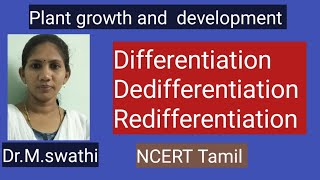 DifferentiationDedifferentiationRedifferentiation NCERT Tamil [upl. by Bierman]