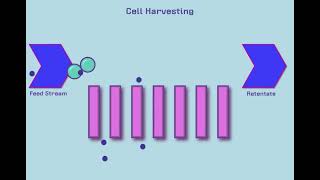 Introduction to Tangential Flow Filtration TFF [upl. by Inaffets]