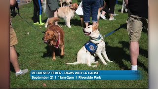 Dog lovers dont want to miss Paws with a Causes Retriever Fever event this weekend [upl. by Sall]