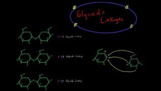 How Glycosidic Linkages are Formed Organic Chemistry Mechanism Carbohydrate Biochemistry MCAT [upl. by Kaule88]