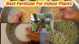 Best Fertilizer For Indoor Plants [upl. by Alicia976]