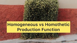 Homogeneous vs Homothetic Production Function [upl. by Zippora]