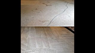 Steam Cleaning Carpet  Is is Worth It Before  After Video [upl. by Trumann332]