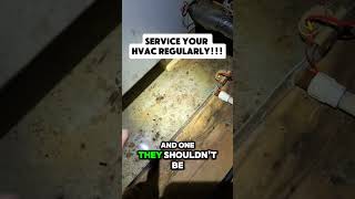 HVAC Problems How To Deal With A Full Drain Pan hvac hvacmaintenance homeinspection [upl. by Gebhardt]