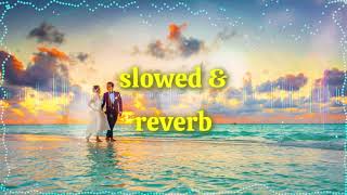 Shubhaarambh Slow amp reverb  mind Relax   Navratri Song  Sushant Singh Rajput Rajkummar R Amit [upl. by Luapnaej]