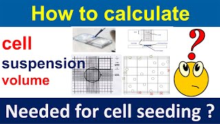 How to calculate cell suspension volume needed for cell seeding [upl. by Yorker]