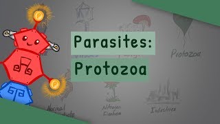 Parasites Protozoa classification structure life cycle [upl. by Haimes]