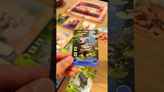 This is my new favourite card game 🦒🐘🦁🌿❤️🌻 boardgame tabletopgames gamenight [upl. by Sonahpets471]