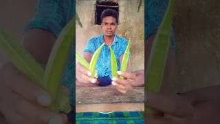 bhindi ki sabji banane ki vidhi  shortvideo village lifestyle [upl. by Nottarts]