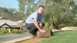 Paul Munns  How to install instant lawn [upl. by Tigges436]