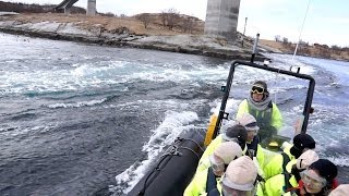 Saltstraumen  Gezeitenstrom in Bodø Nordnorwegen [upl. by Leunamnauj188]