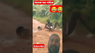 সাপদেখেঅনেকভয়পাইছে comedy funny youtubeshorts sank [upl. by Jacobah483]