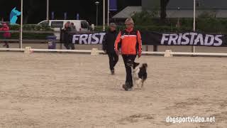 Selection  Marjon Aarnink  Kyna PraggelsBorder Collie  Netherlands [upl. by Llerrot339]