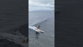 Beginner scores a good wave surfing wavestorm softtop beginnersurfer hawaii [upl. by Ahsein135]