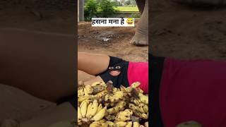 Hathi Raja Hathi Raja  funny video 😅  cartoon videoshorts hathiraja funnyvideo [upl. by Evvie811]