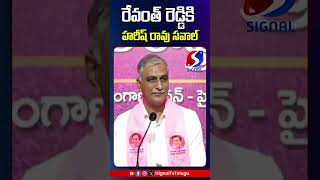 రేవంత్ రెడ్డికి హరీష్ రావు సవాల్  SIGNAL TV [upl. by Chappy]