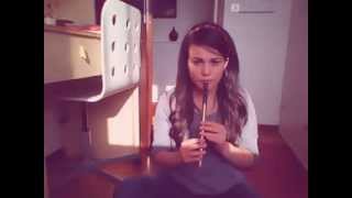 Far over the Misty mountains cold Tin whistle cover [upl. by Rasla]