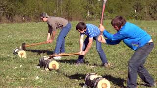 St patricks Day Axe Chopping Contest [upl. by Cecilio]