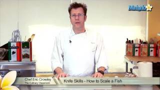 Knife Skills  How to Scale a Fish [upl. by Karney]